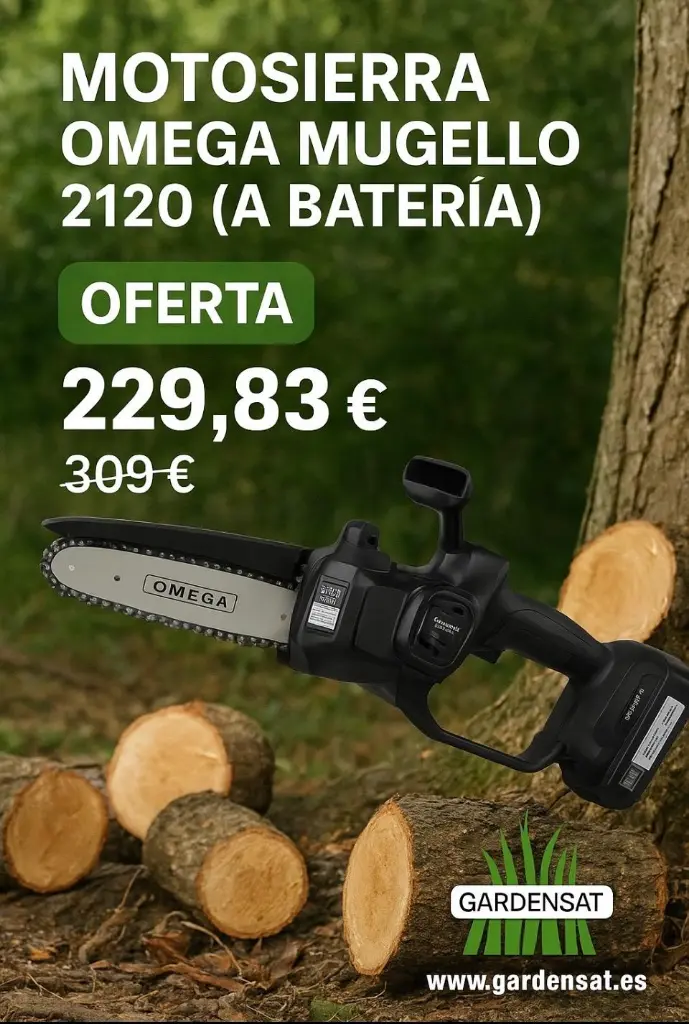 WhatsApp Image 2025-10-10 at 15.24.09.webp