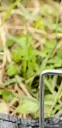Captura de pantalla 2026-06-12 172733.webp