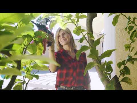 youtube - [Video]
