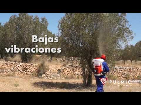 youtube - [Video]