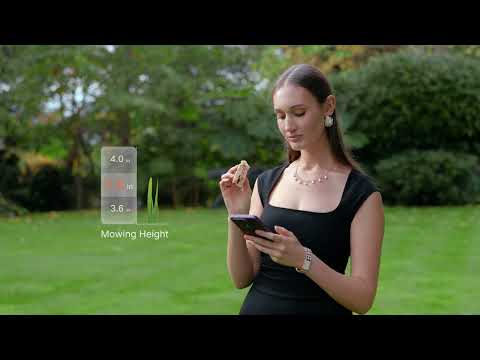 youtube - [Video]