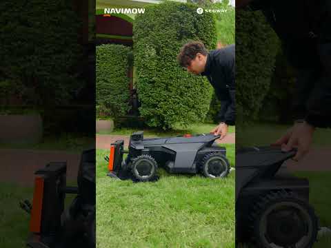youtube - [Video]