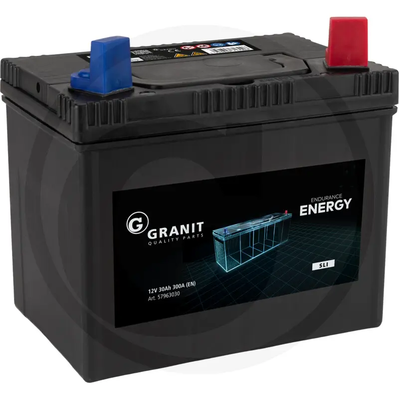 [57963030] Batería 12 V / 30 Ah  ENDURANCE ENERGY