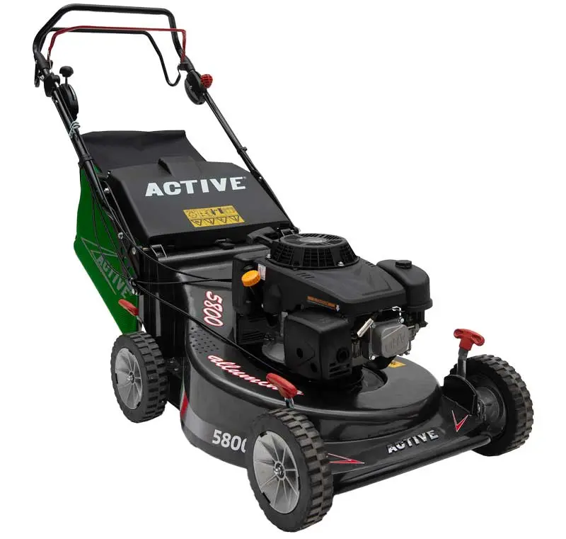 CORTACESPED ACTIVE C5800 SVA