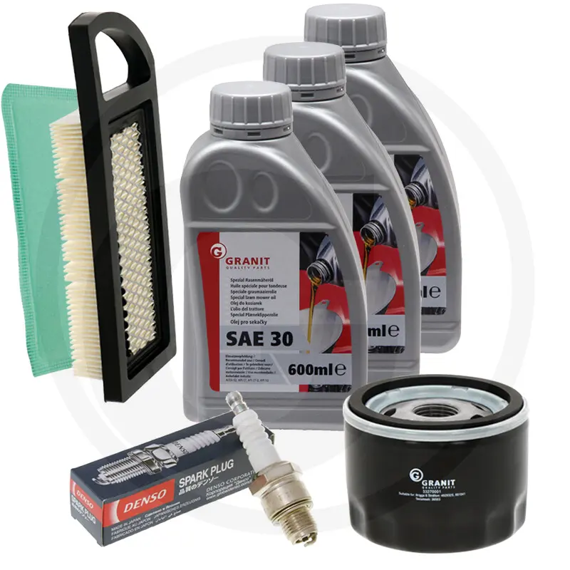 [30280007] Kit de mantenimiento B&S Serie 4, vertical