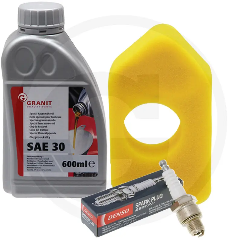 Kit de mantenimiento B&S Serie 450, 550, 600