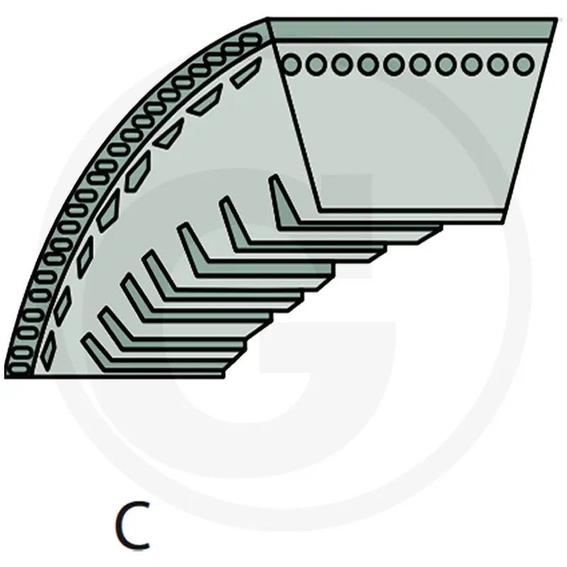 CORREA DENTADA 10,5 x 813 VIKING RM 650.0 T