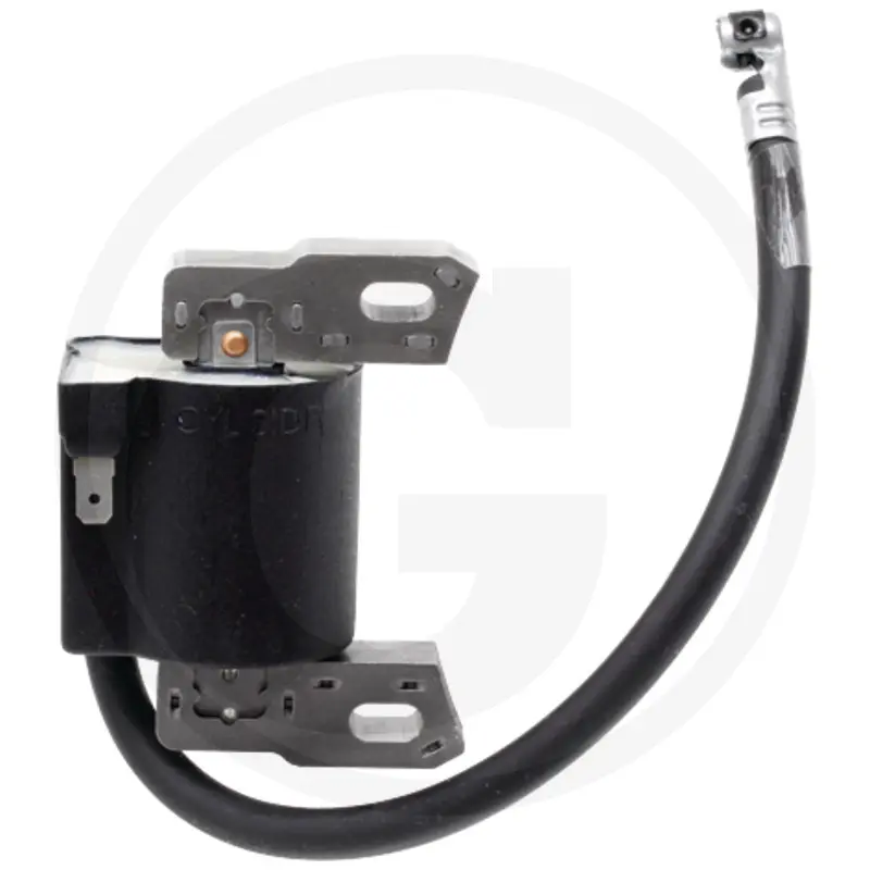 [18270275] BOBINA DE ENCENDIDO B&S 590454