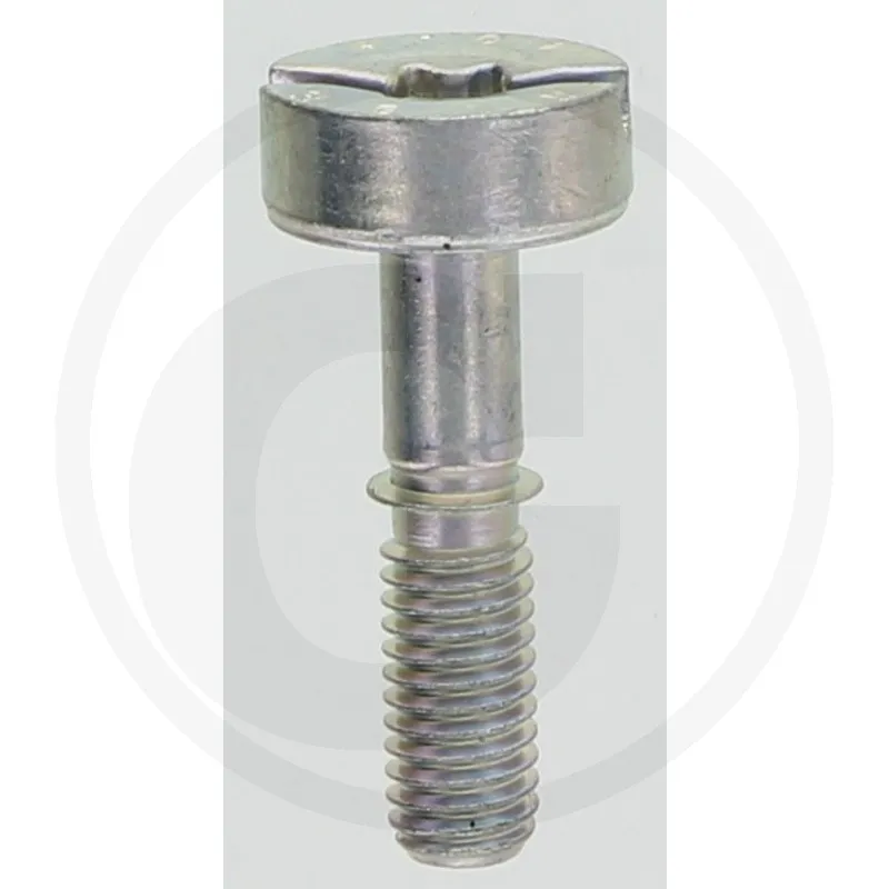 [90223191027] TORNILLO TORK M5x21 STIHL