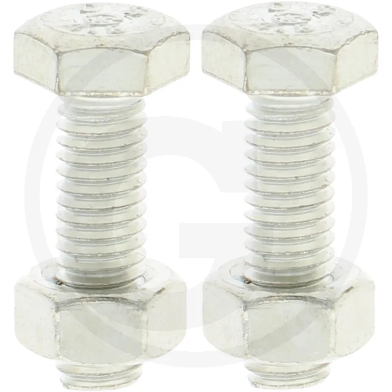 [57951911] SET DE 2 TORNILLOS PARA BATERIAS