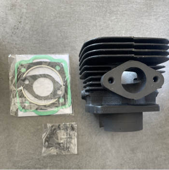 [G1010  /  M715-A] EQUIPO MOTOR AGRIA 3000-3001 KIT JUNTAS Y CILINDRO COMPLETO  (M150)