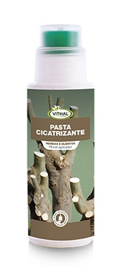 PASTA CICATRIZANTE VITHAL 250G